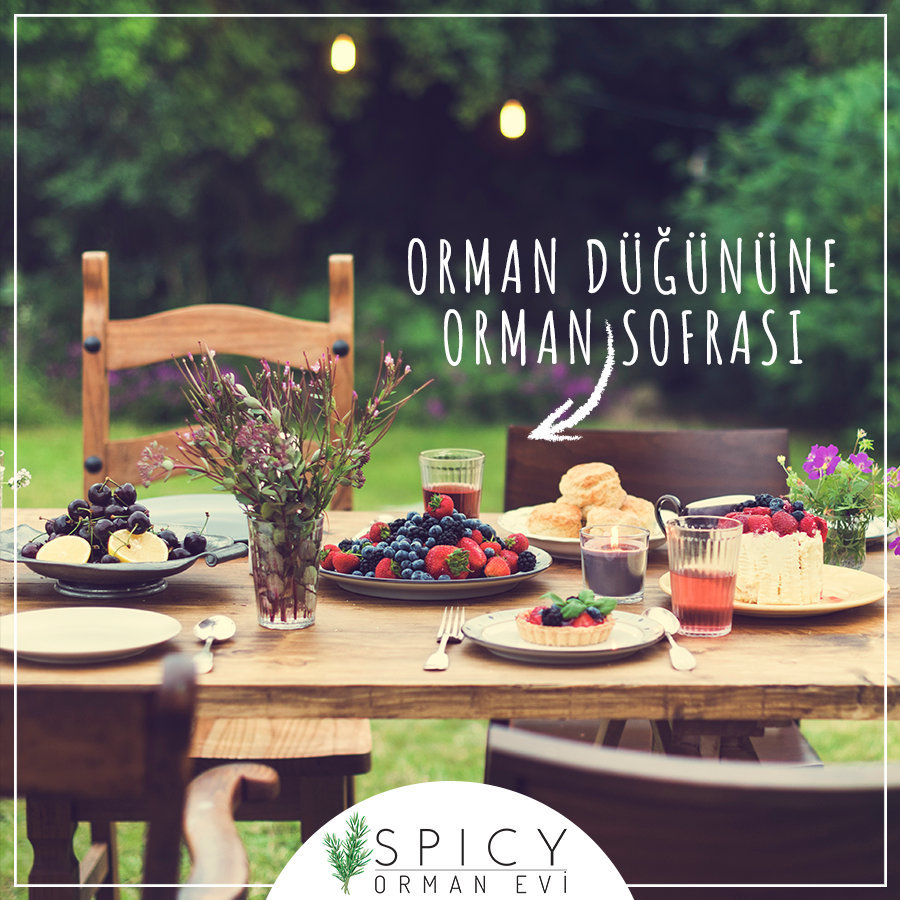 Spicy Orman Evi Fiyatlar Ve Hizmetleri