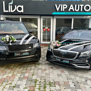 Liva Gelin Arabaları