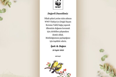Doğal Hayatı Koruma Vakfı (WWF Türkiye)