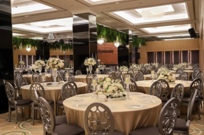 Armonia Golden Tulip