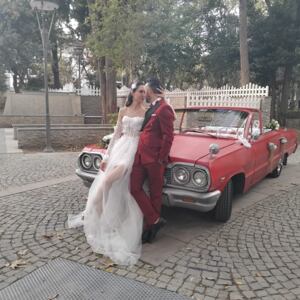 Araç Tek Hizmetleri