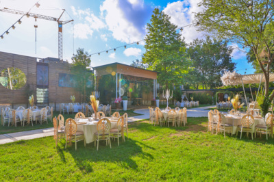 Elisa Garden