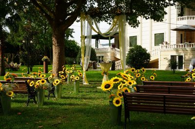 La Maison Polonezköy