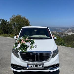 Transporting Vip Transfer