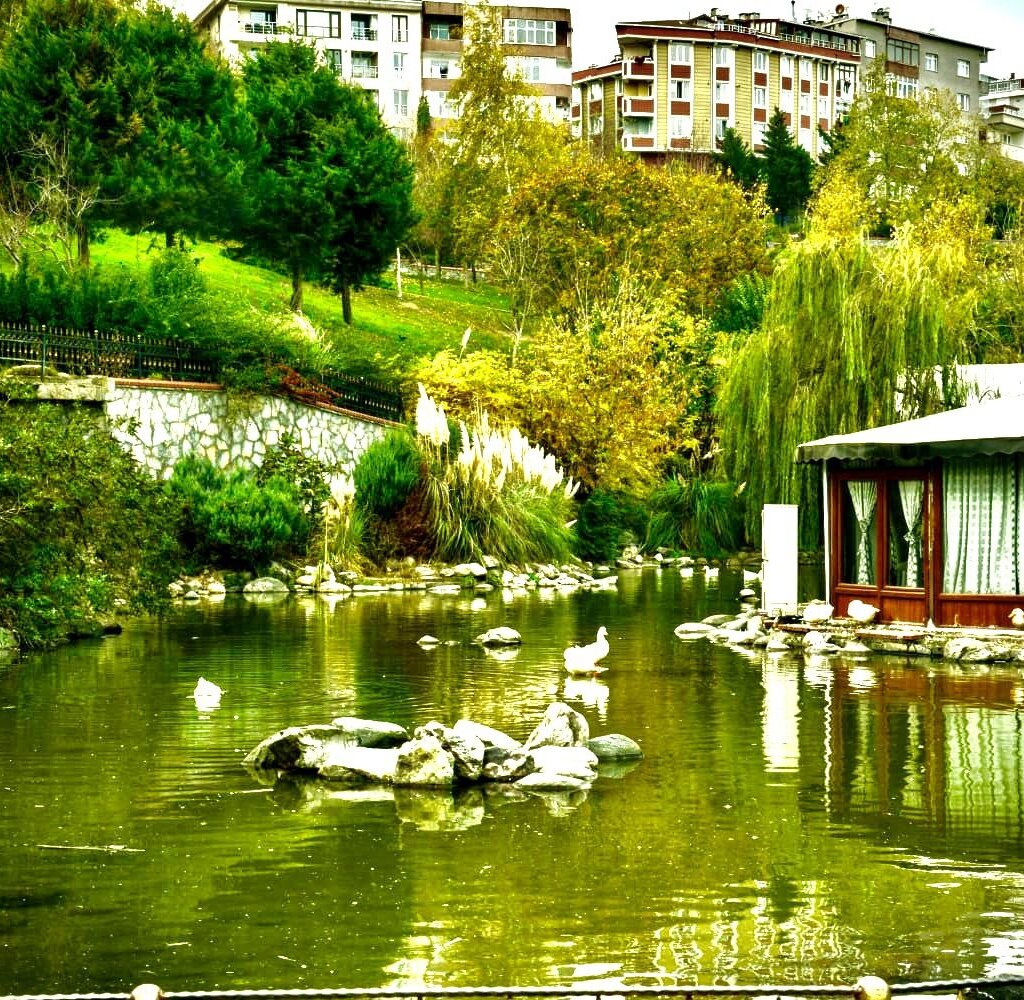 şelale cafe düğün salonu