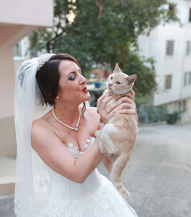 ALTERNATIF_TEXT_BURAYA