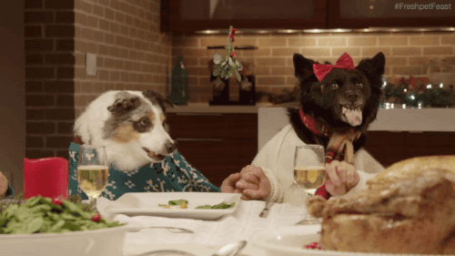 bir düğünün i̇ç dinamikleri!