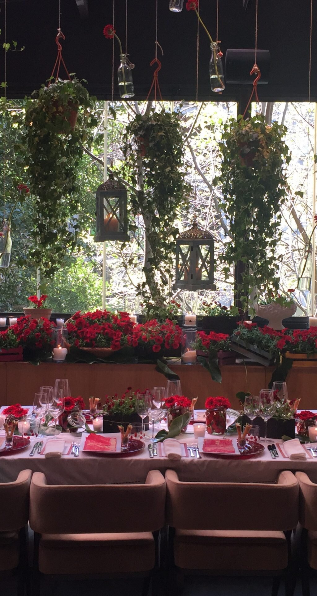 the sofa hotel hallarts