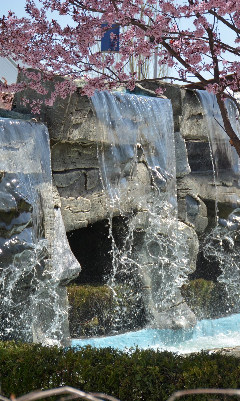 sakalar grup kır sofrası