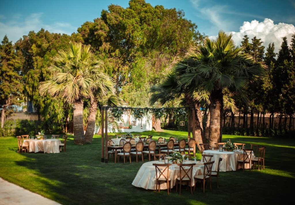 three palm event & more