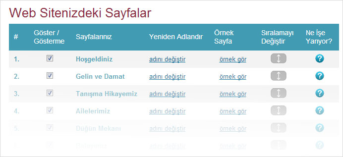 alt-basliklar-ve-icerik