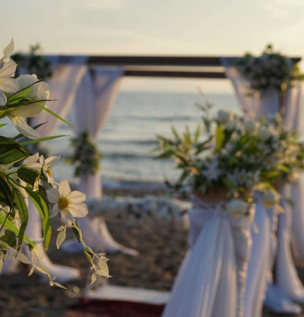 artemis-beach-club