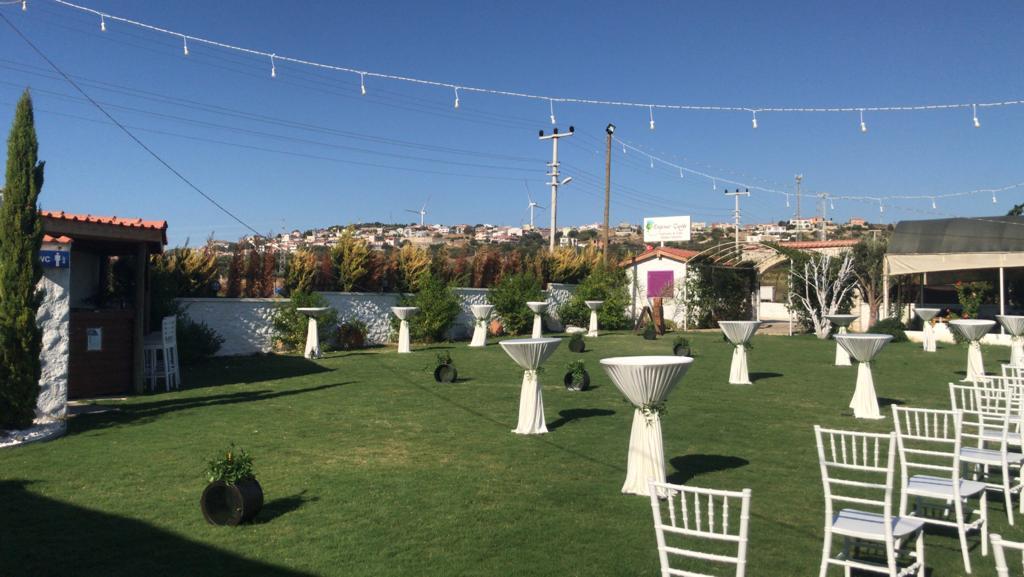 enginar çiçeği kır düğünü