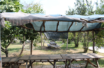 dort-mevsim-kir-alani