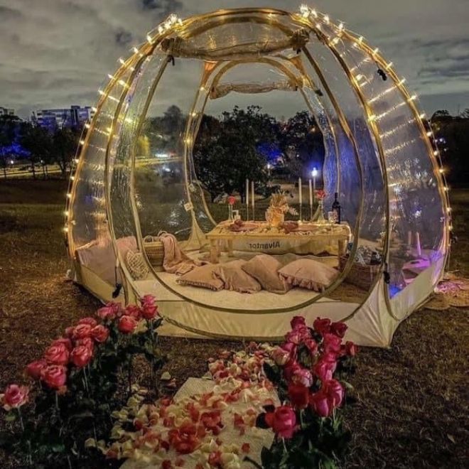 fanus evlilik teklifi