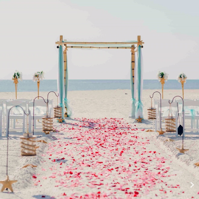 Calypso
Wedding And Beach