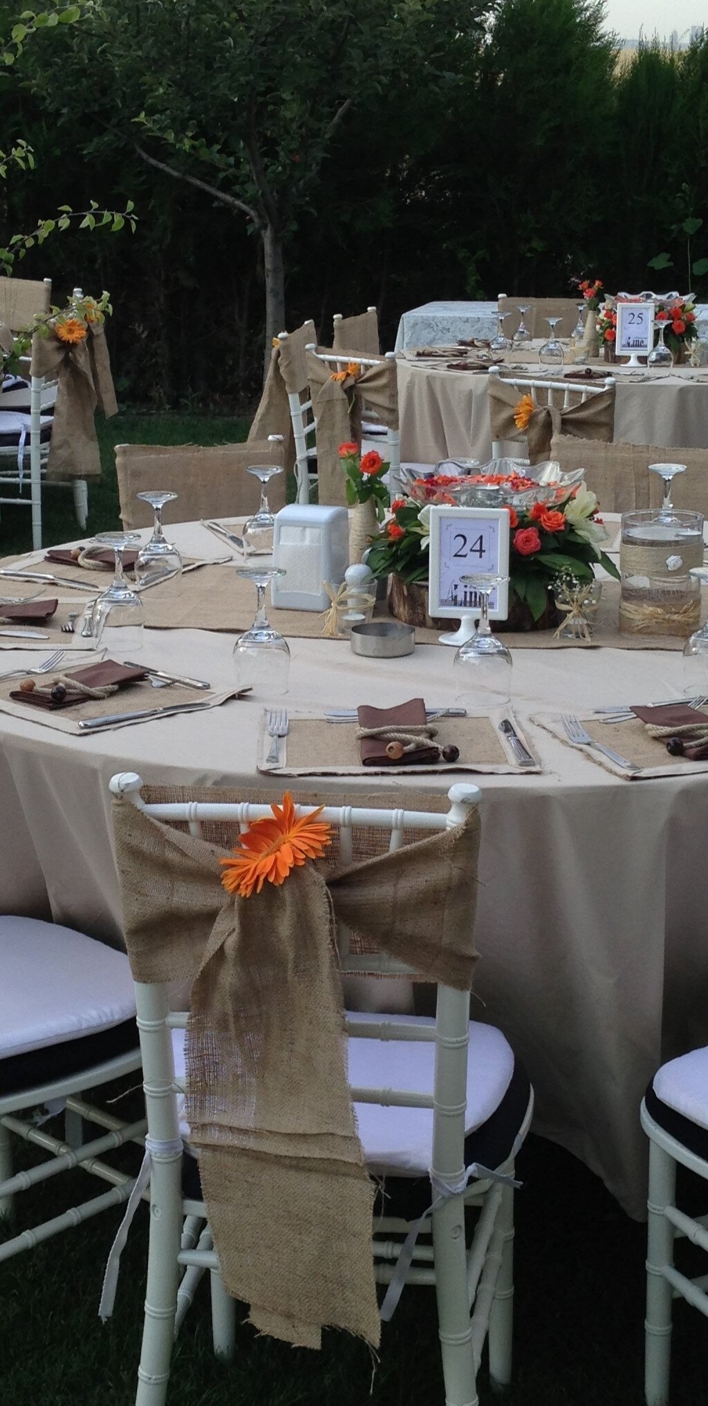 cayirkusu-kir-dugunu