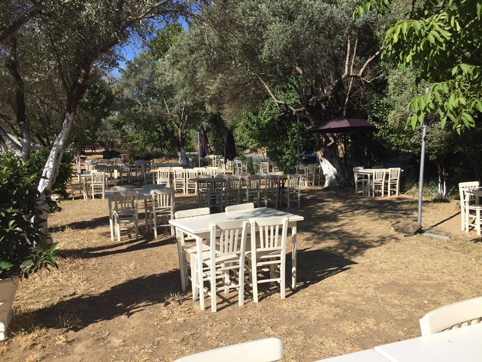 kekik kır düğünü