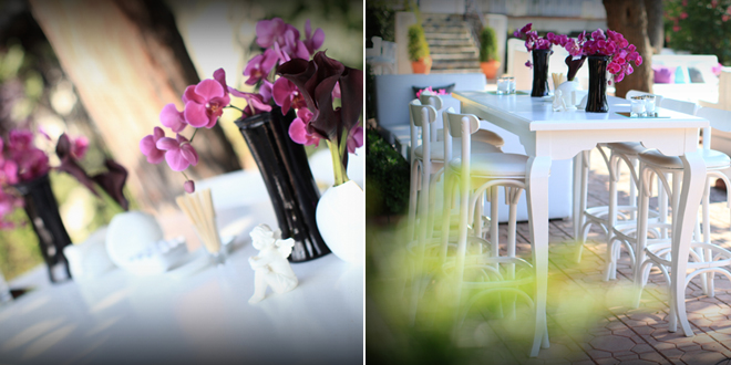 evcilikten evliliğe: dağhan ve nazem