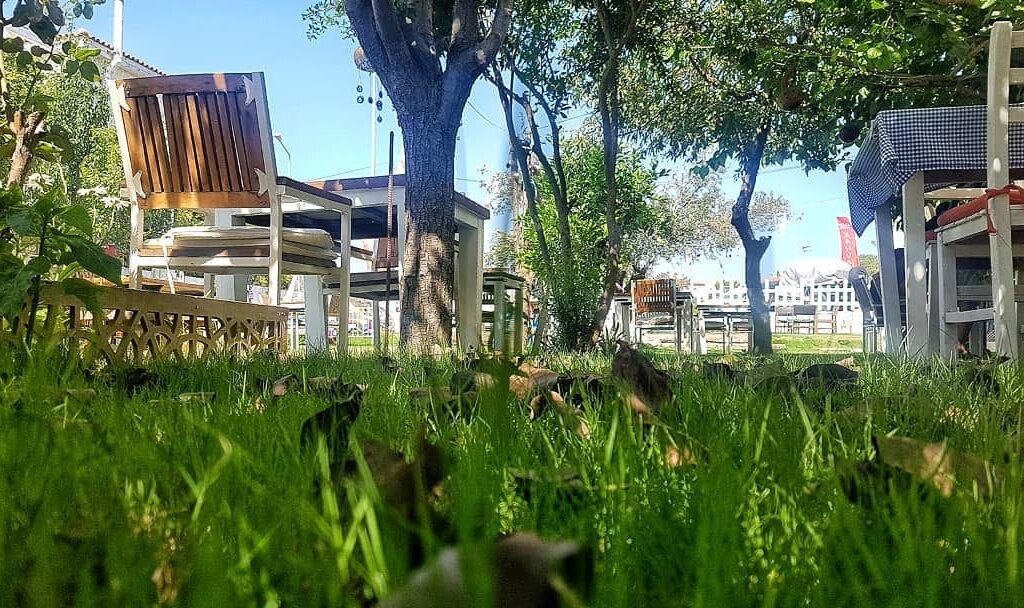 elek kahvaltı ve dahası