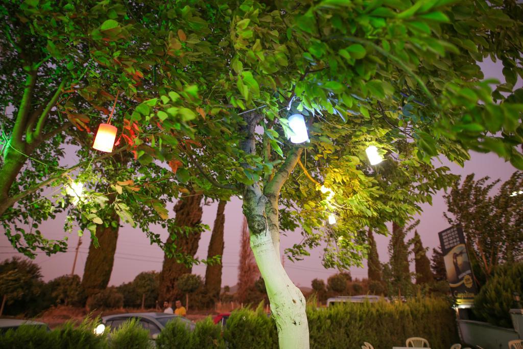 carpediem kır düğün salonu