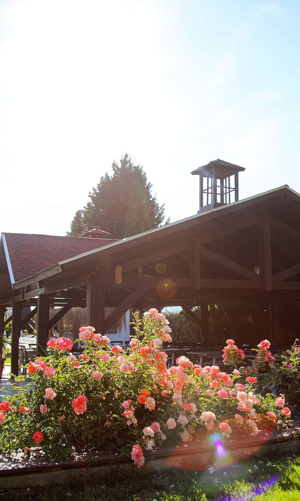 suess otel alaçatı