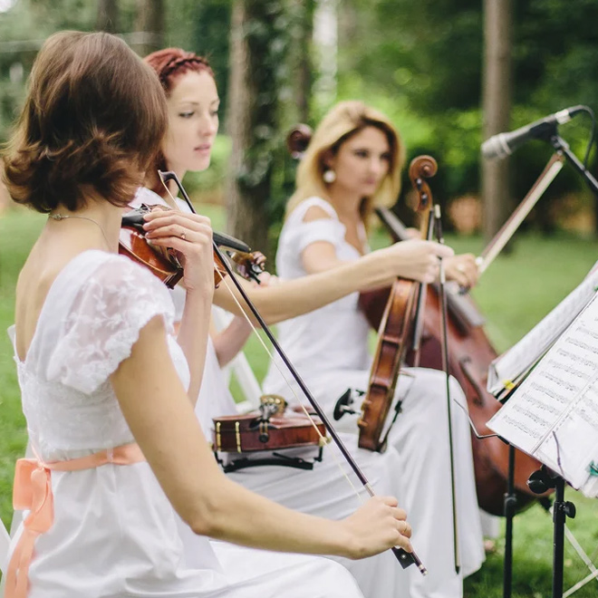 Düğün Orkestrası