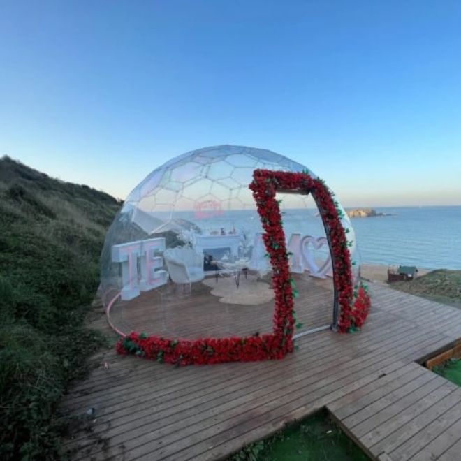 fanus evlilik teklifi