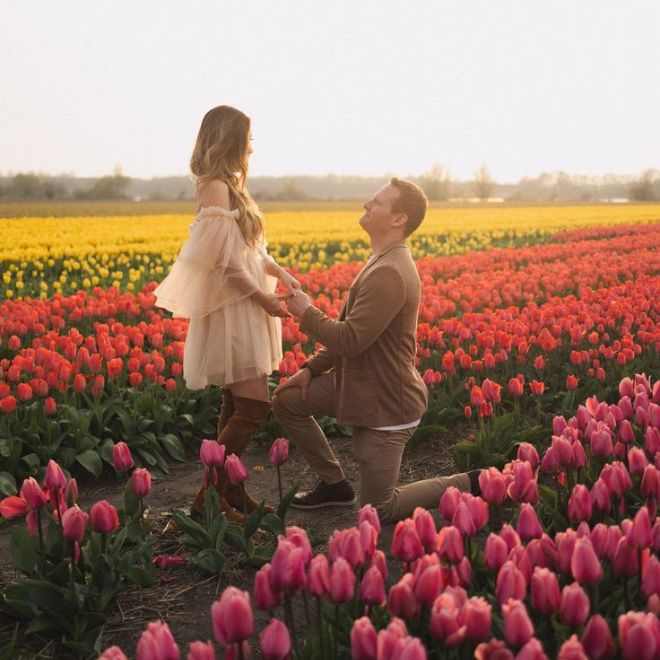 zekice evlilik teklifi