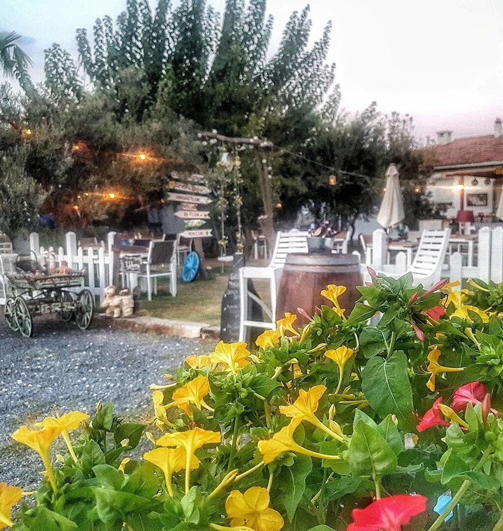 elek kahvaltı ve dahası