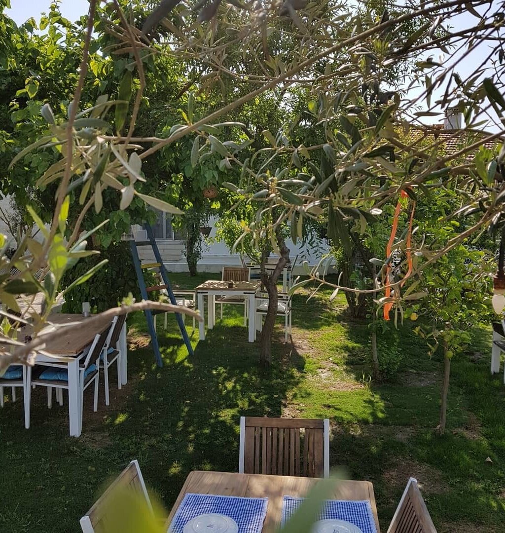 elek kahvaltı ve dahası