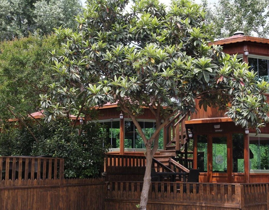 safran elite restaurant