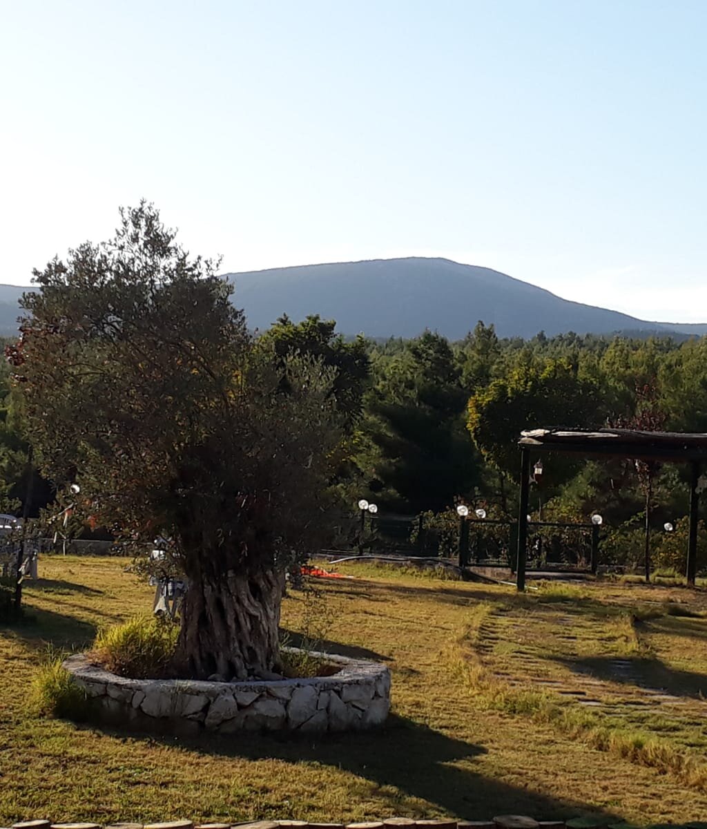 urla dört mevsim kır düğünü