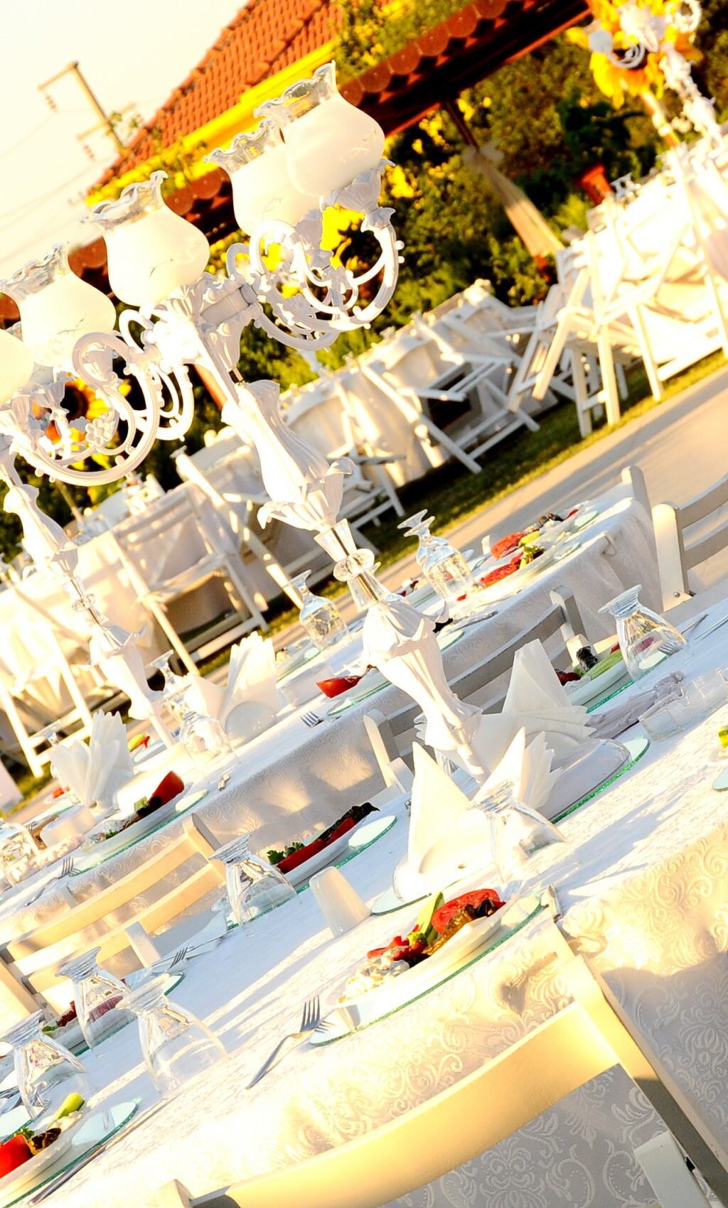 rota garden kır düğün bahçesi