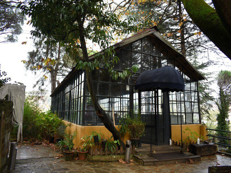 fındık suyu bahçesi