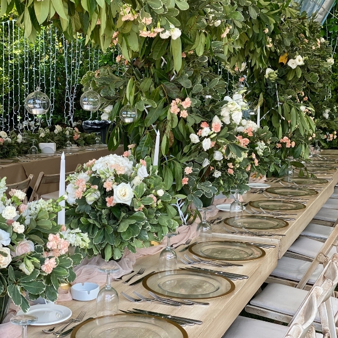 Mes Davet Organizasyon