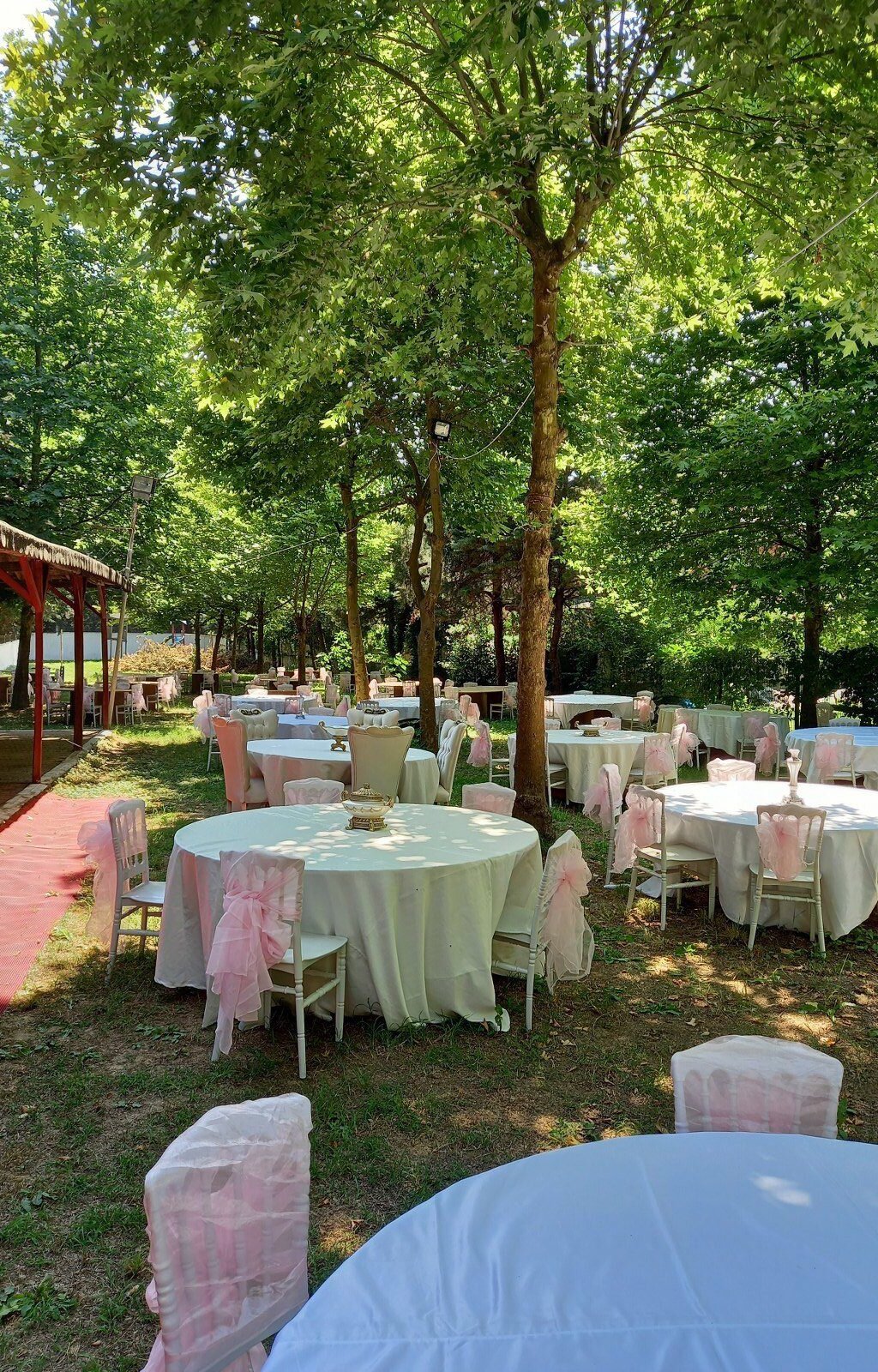 kivanc-garden_BkLKjoQG