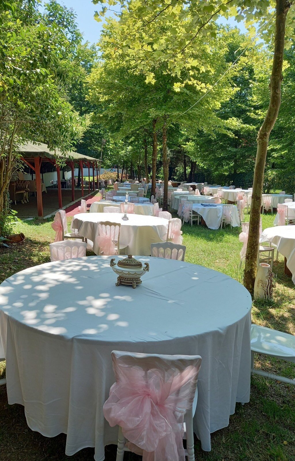 kivanc-garden_Lr89g3yj