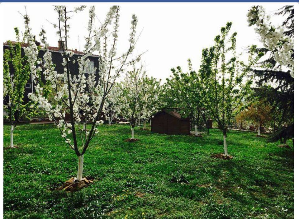 kose-tesisleri_khq5RvVB