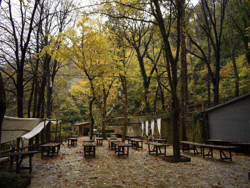 fındık suyu bahçesi