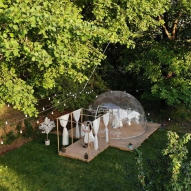 fanus evlilik teklifi