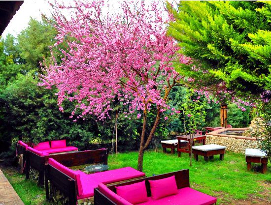 façiba butik otel restaurant cafe bar