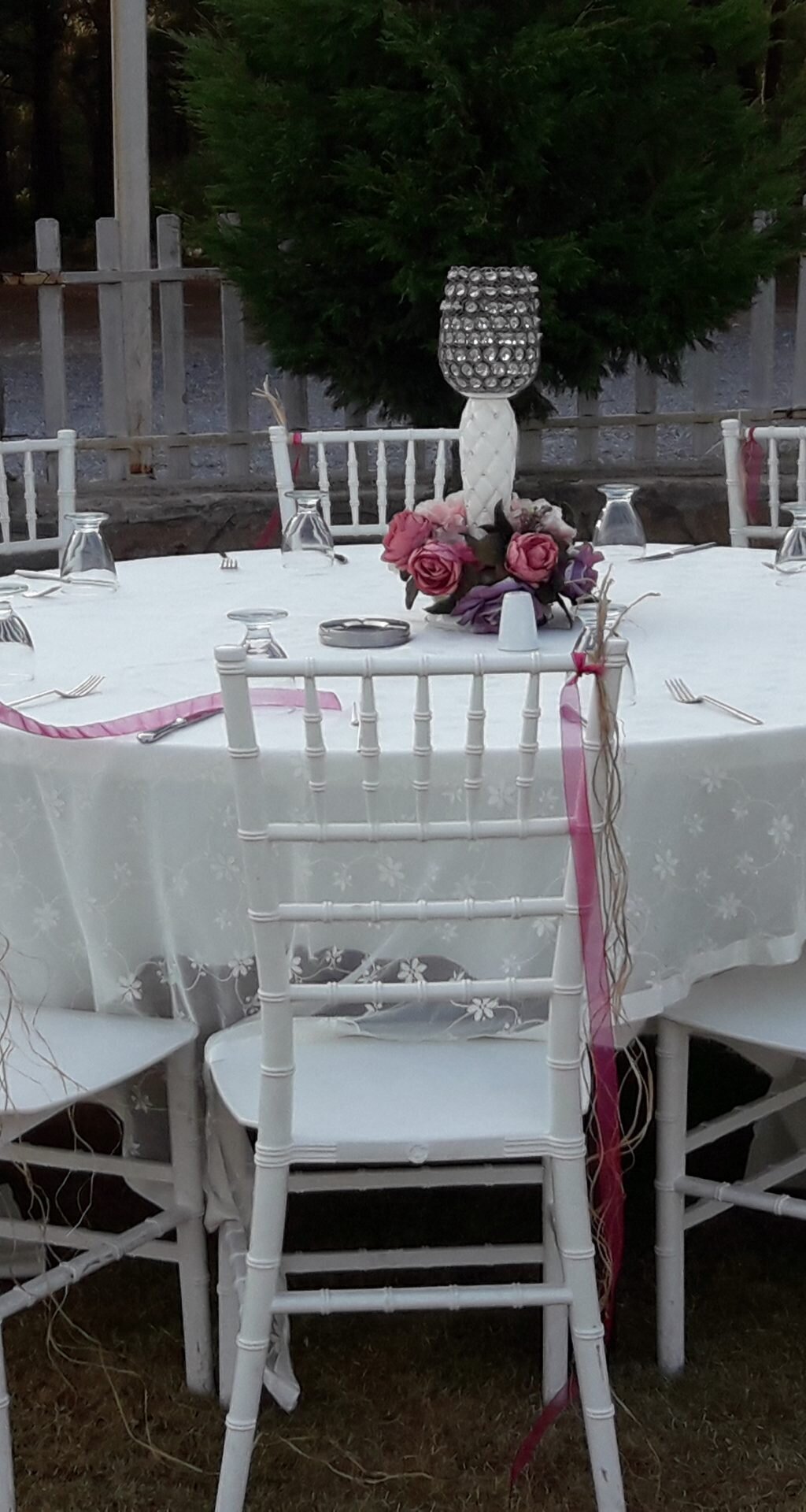 lyra-garden_mFREZ9pH