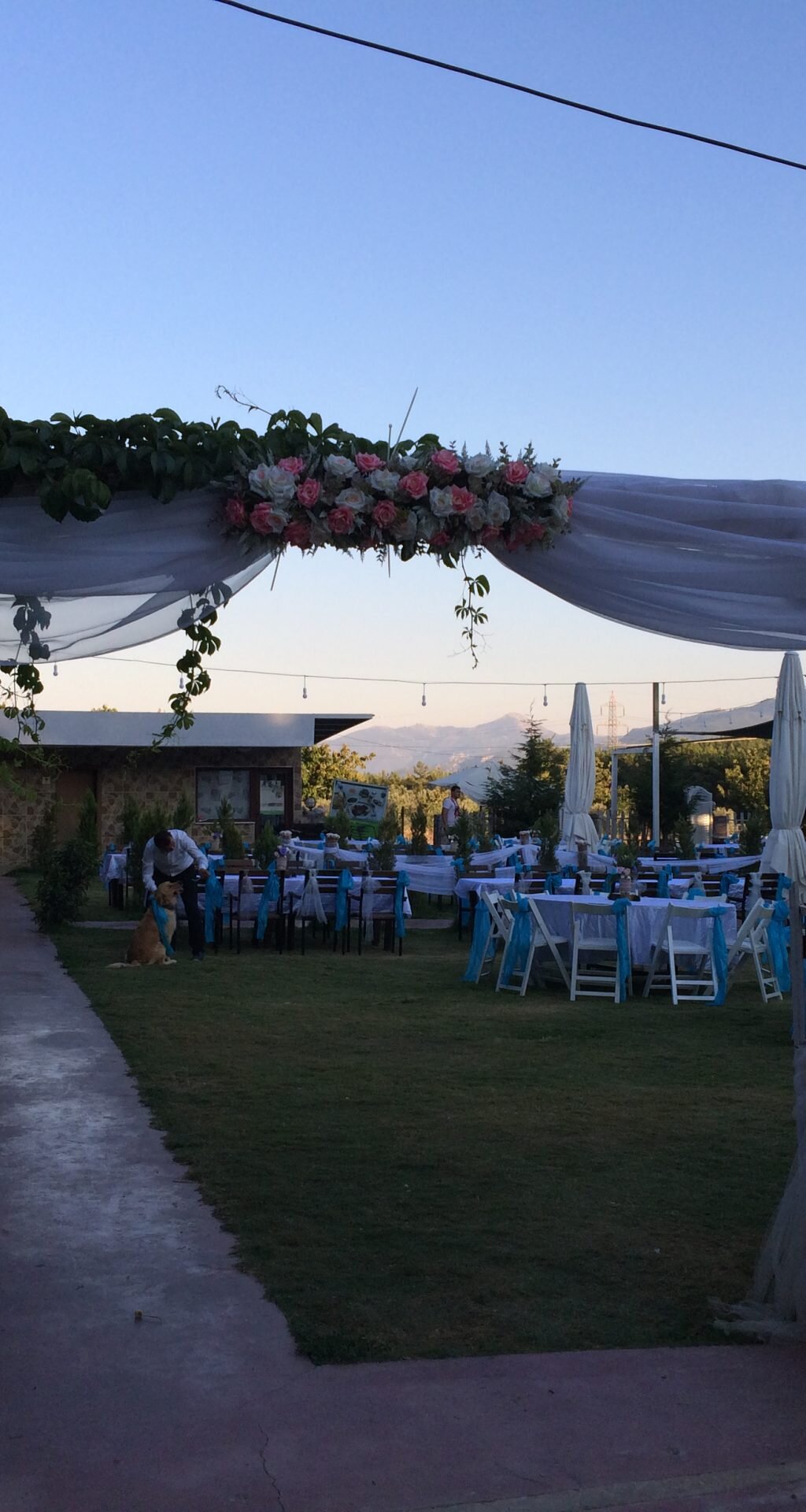 lyra-garden_qsi6OOsb