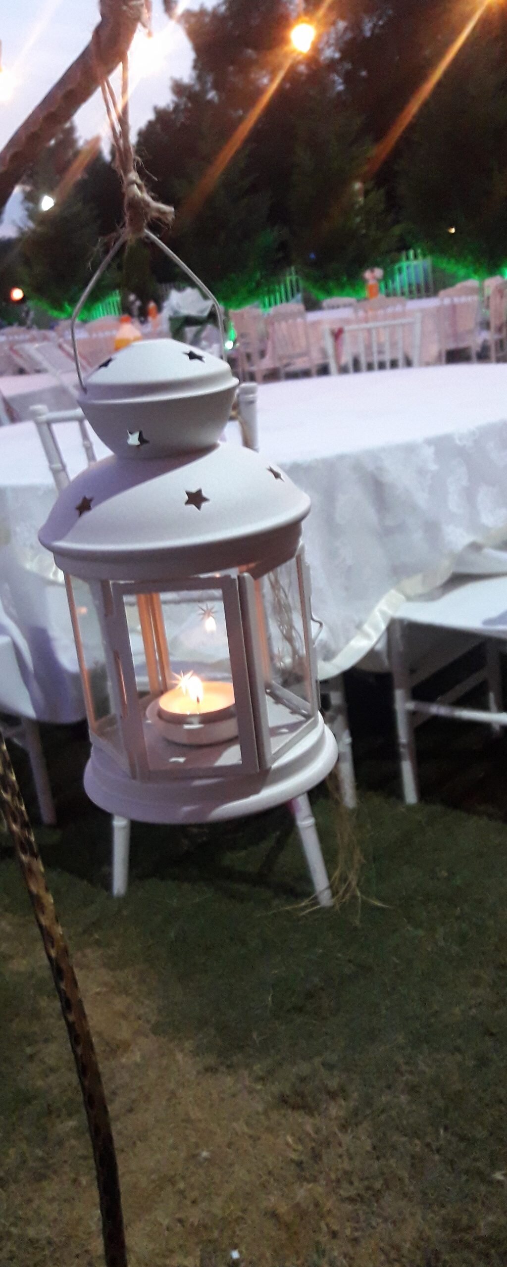 lyra-garden_VNC13TlH