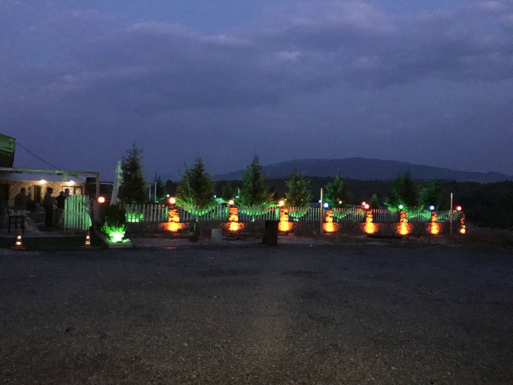 lyra-garden_w2NNu2ez