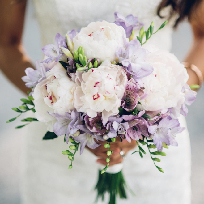 Mor Beyaz Gelin Çiçeği