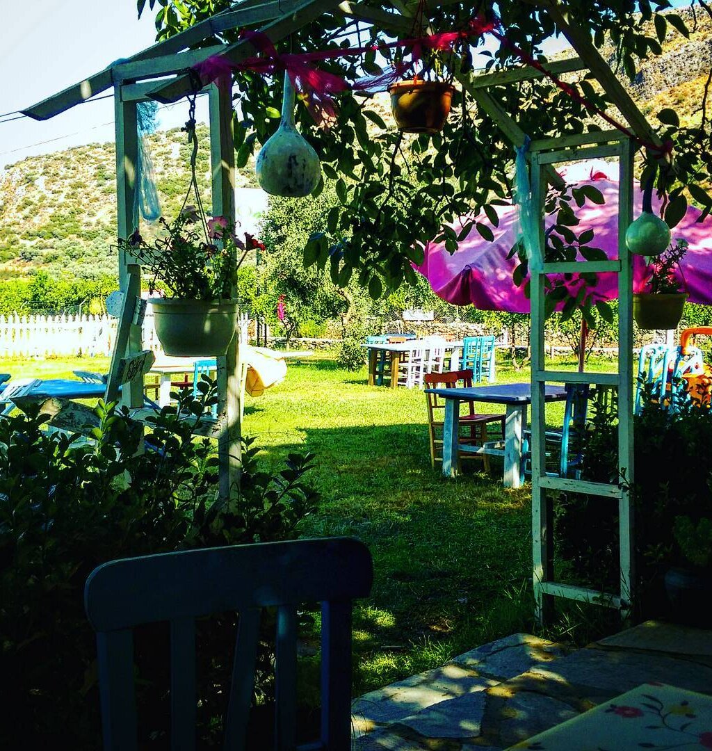 oasis park kır bahçesi
