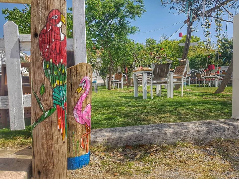 elek kahvaltı ve dahası