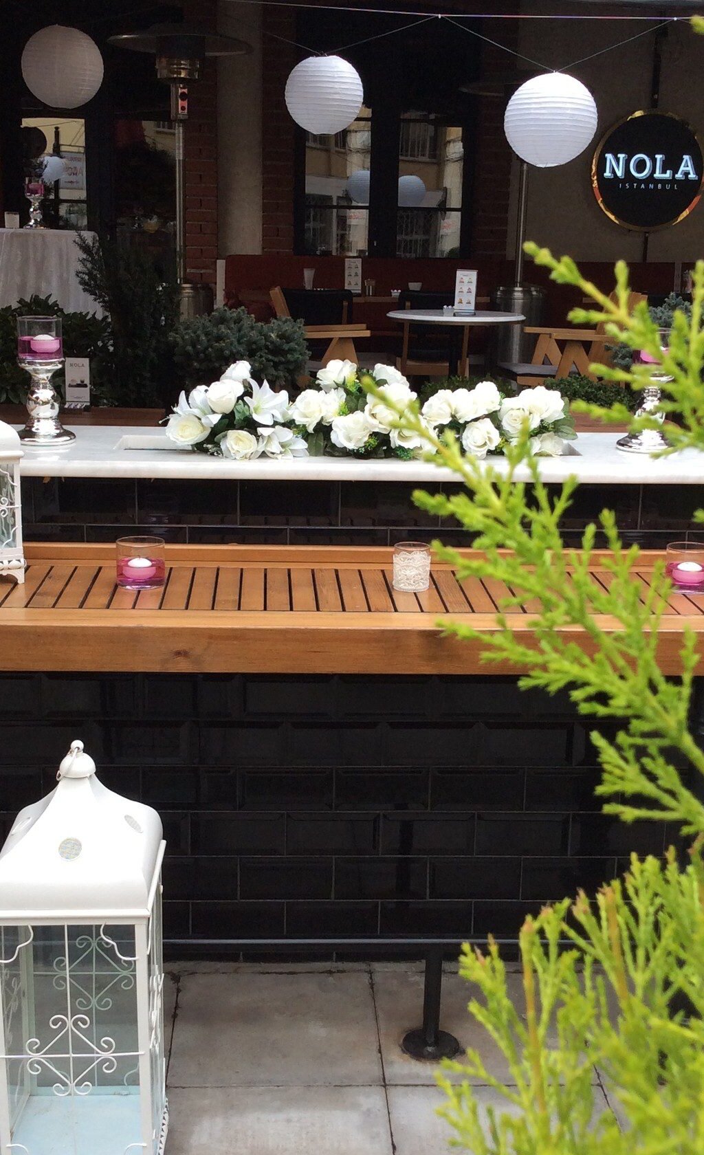 nola galata